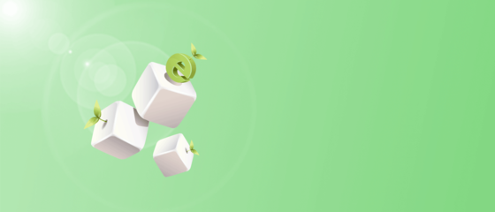 臺(tái)州網(wǎng)站搭建【臺(tái)州網(wǎng)站建設(shè)